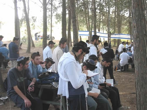 Golan